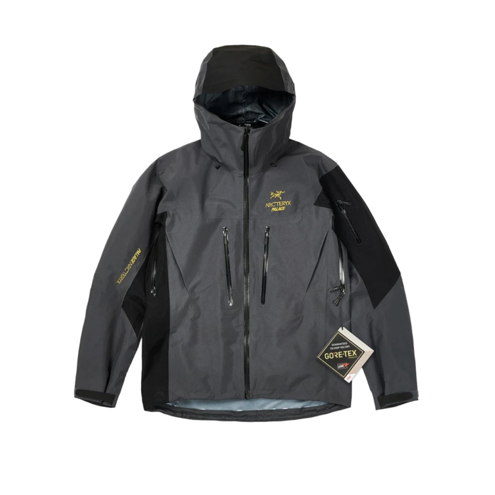 아크테릭스X팔라스 알파 SV 자켓(국내배송)