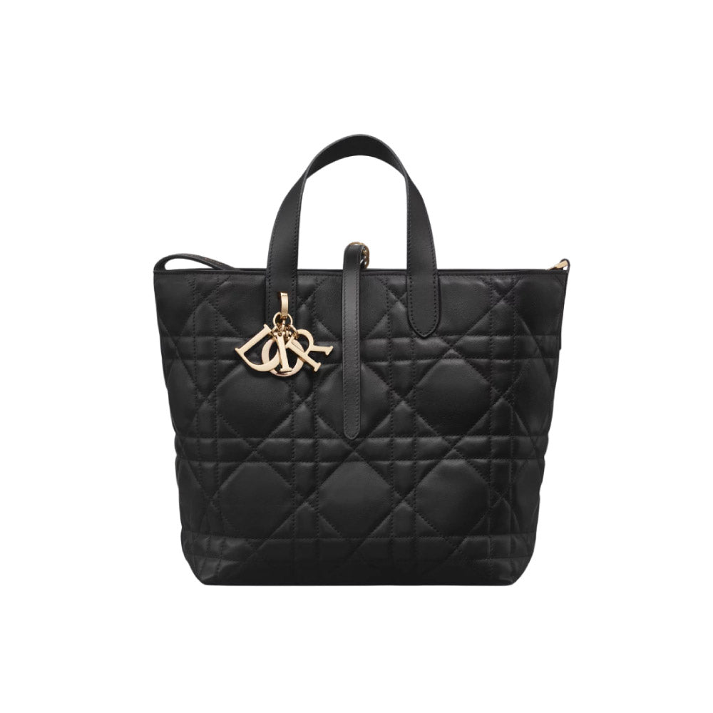 디올 버티컬 토트백