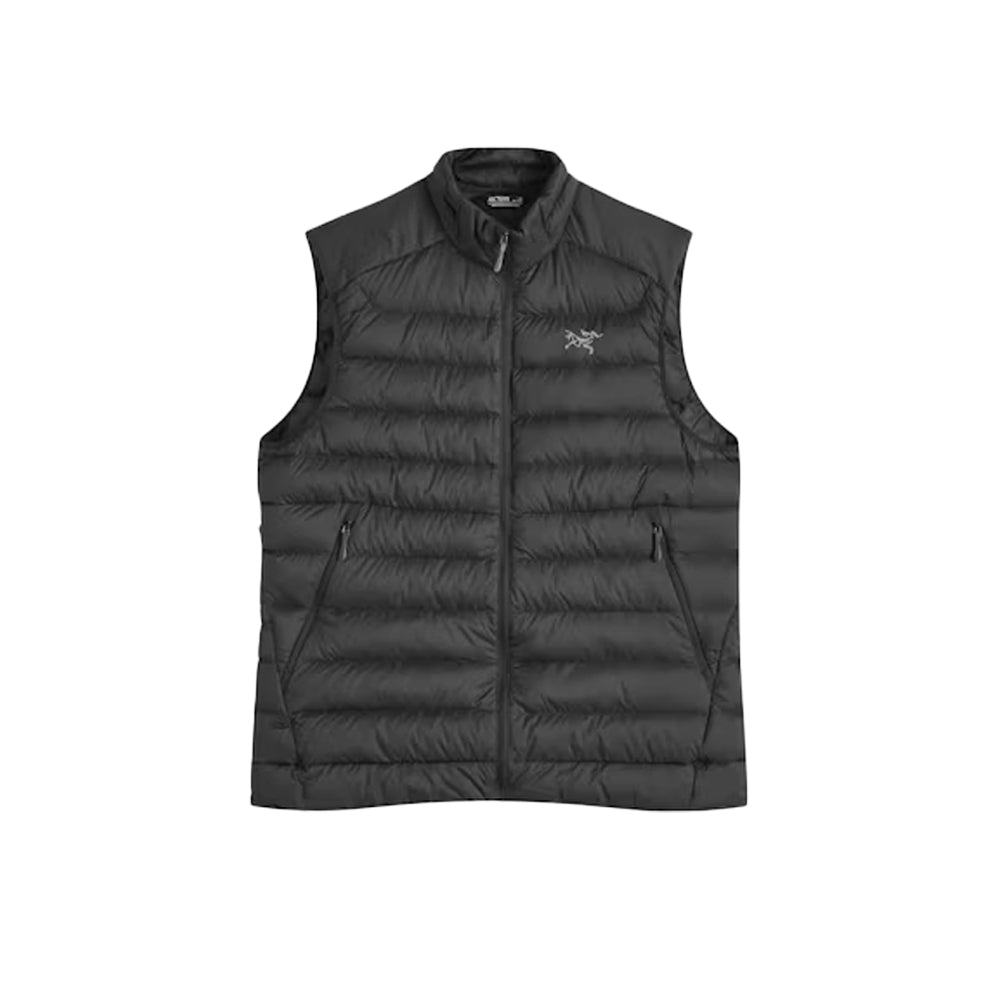 아크테릭스 세륨 다운 베스트